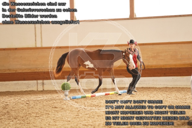 s_A_901216.JPG
